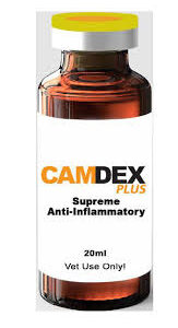 camdex plus advanced Equine and Camel Solutions is the industry leader in equine and camel health and performance products