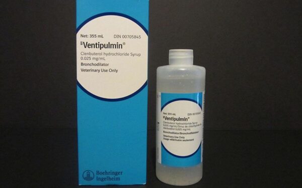 ventipulmin