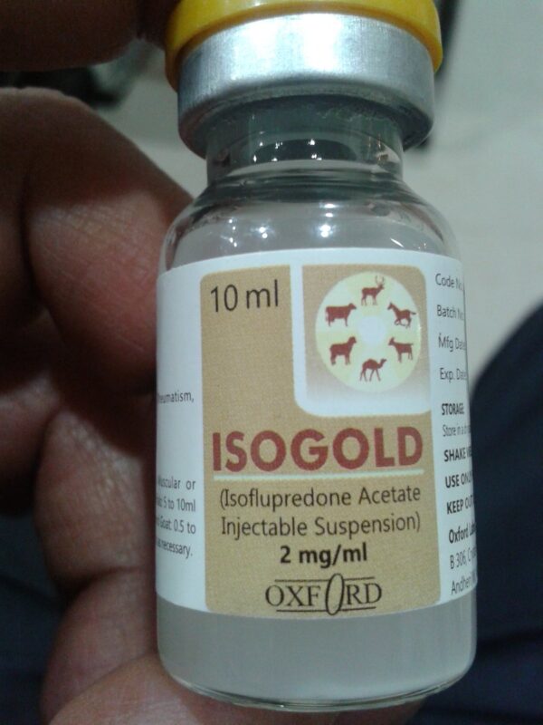 Isogold injectable 