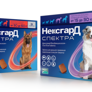 Nexgard Spectra