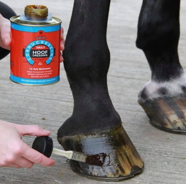 hoof dressing