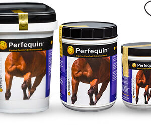 Perfequin