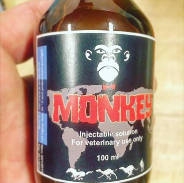 monkey injectable solution