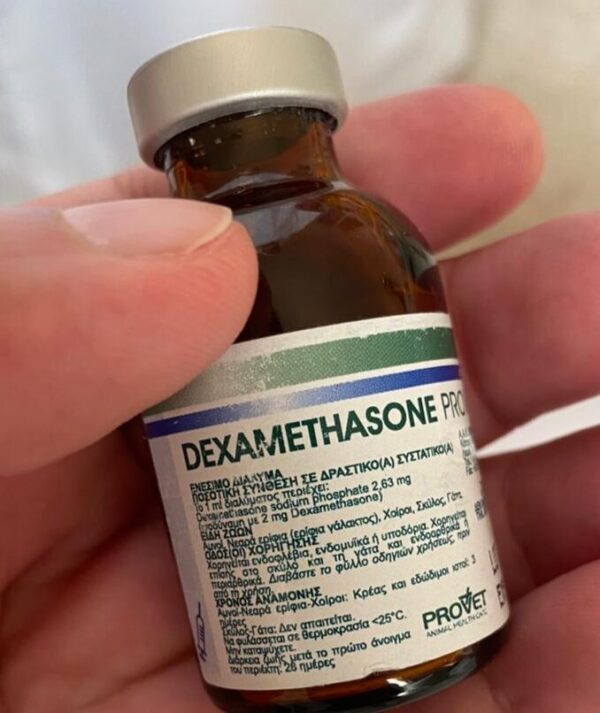 dexamethasone provet