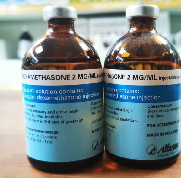 DEXAMETHASONE