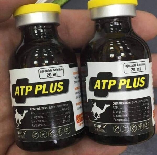 ATP PLUS