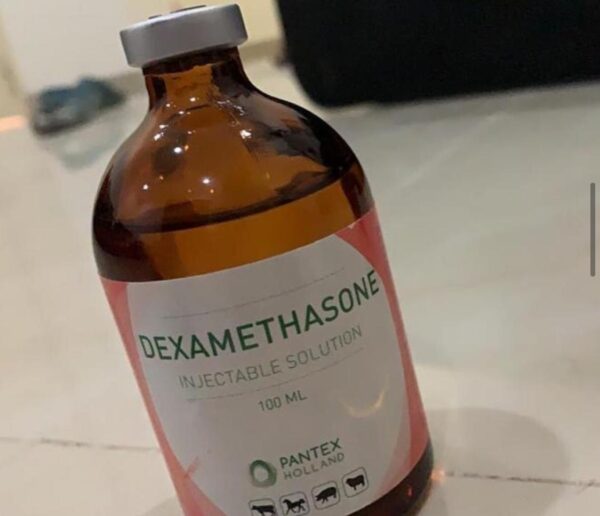 Dexamethasone injection