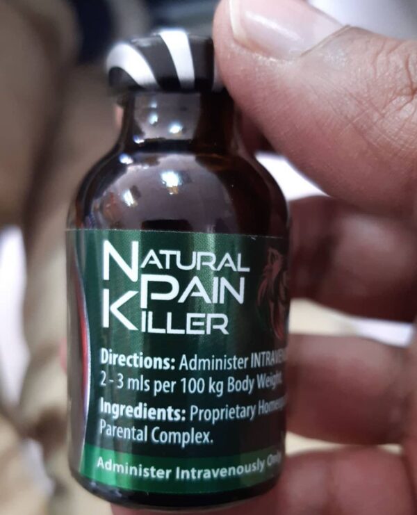 Natural pain killer