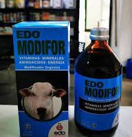 Edo Modifor