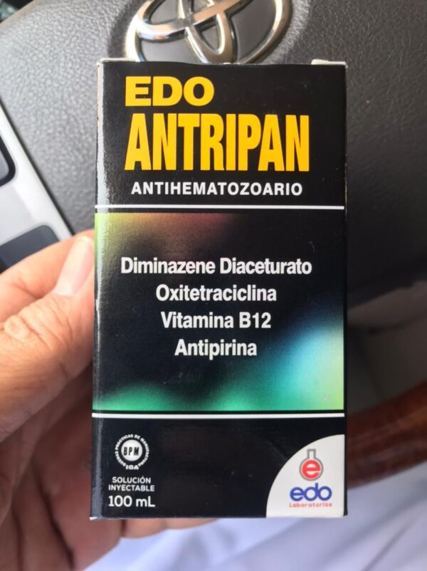 Edo Antipran