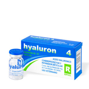 where to buy hyaluron online
