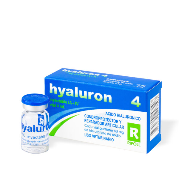 where to buy hyaluron online