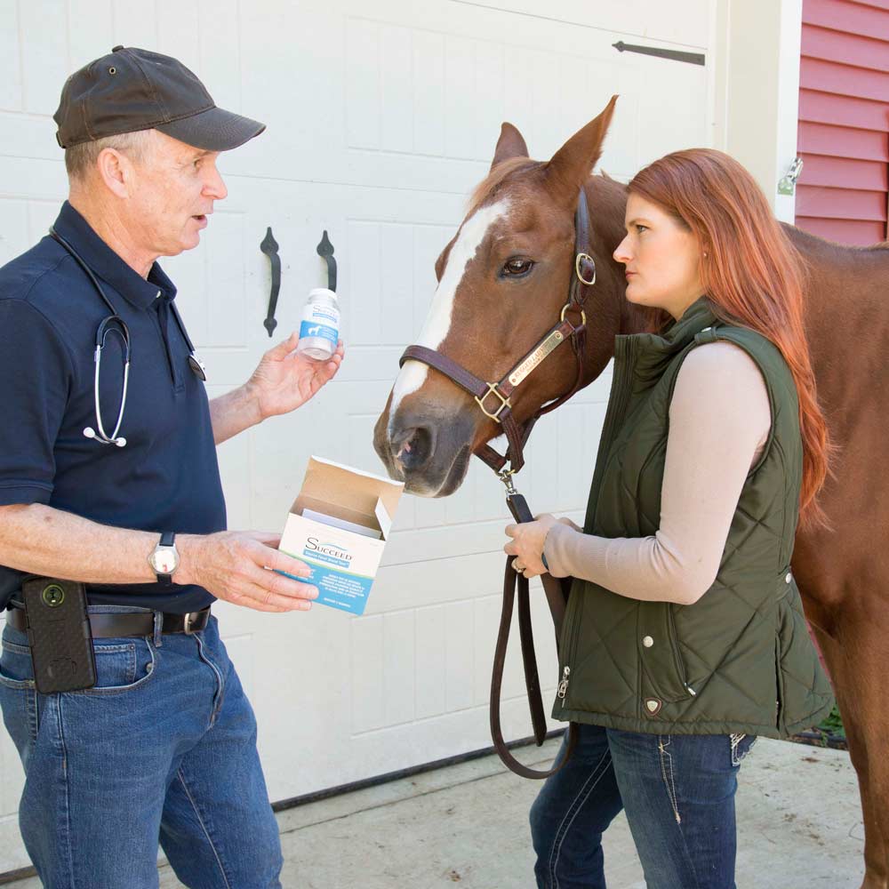 equine medications